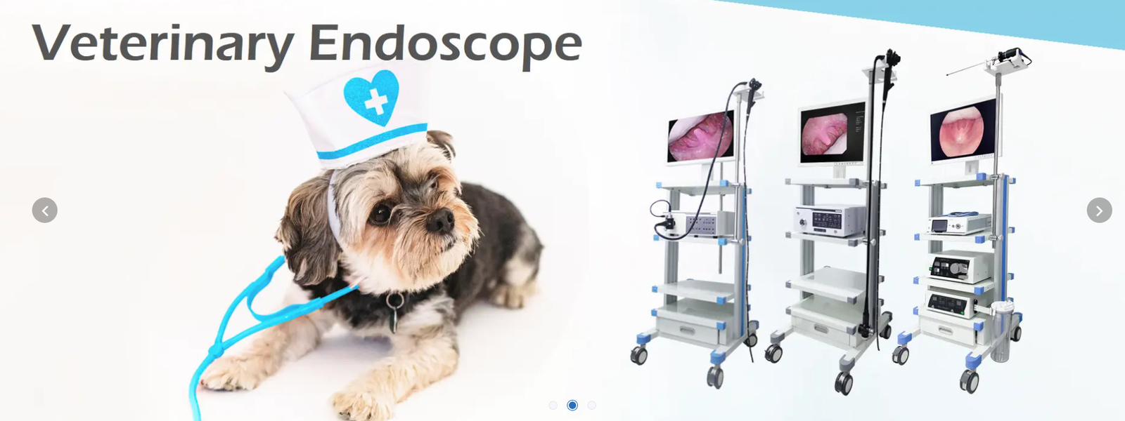 Veterinary Endoscope