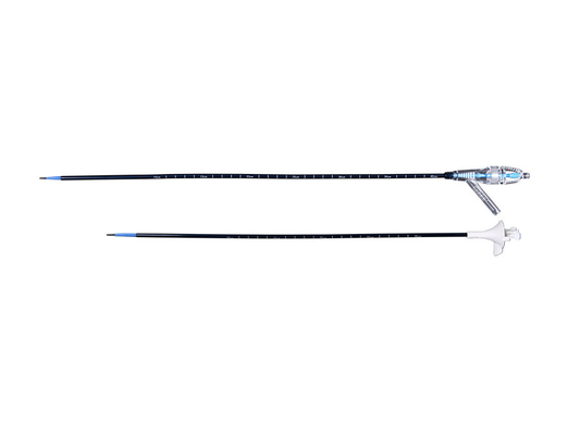 Disposable Sterile Ureteral Access Sheath